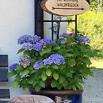 Apartamento Haus Waldfrieden