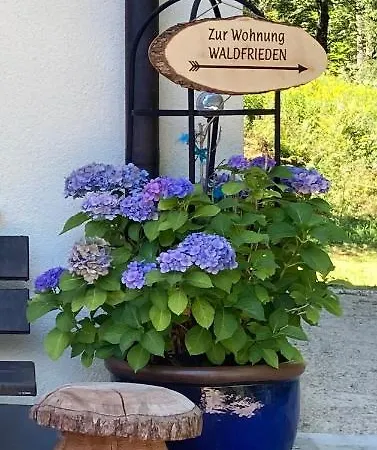 Appartement Haus Waldfrieden