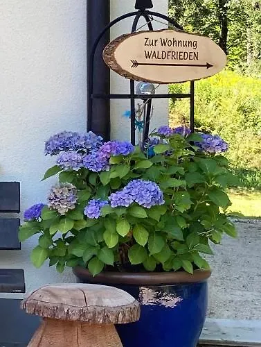 דירה Haus Waldfrieden